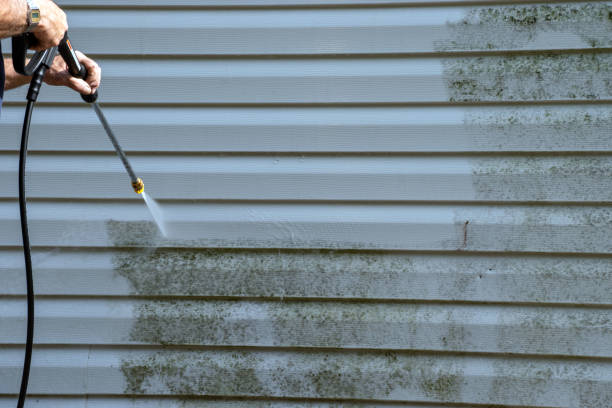 Shed Removal in Kennedy, CA